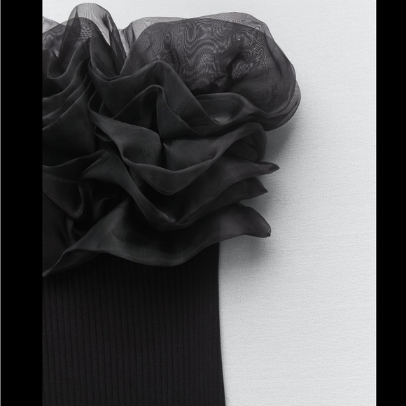 RIB ORGANZA DRESS - Picture 7 of 9